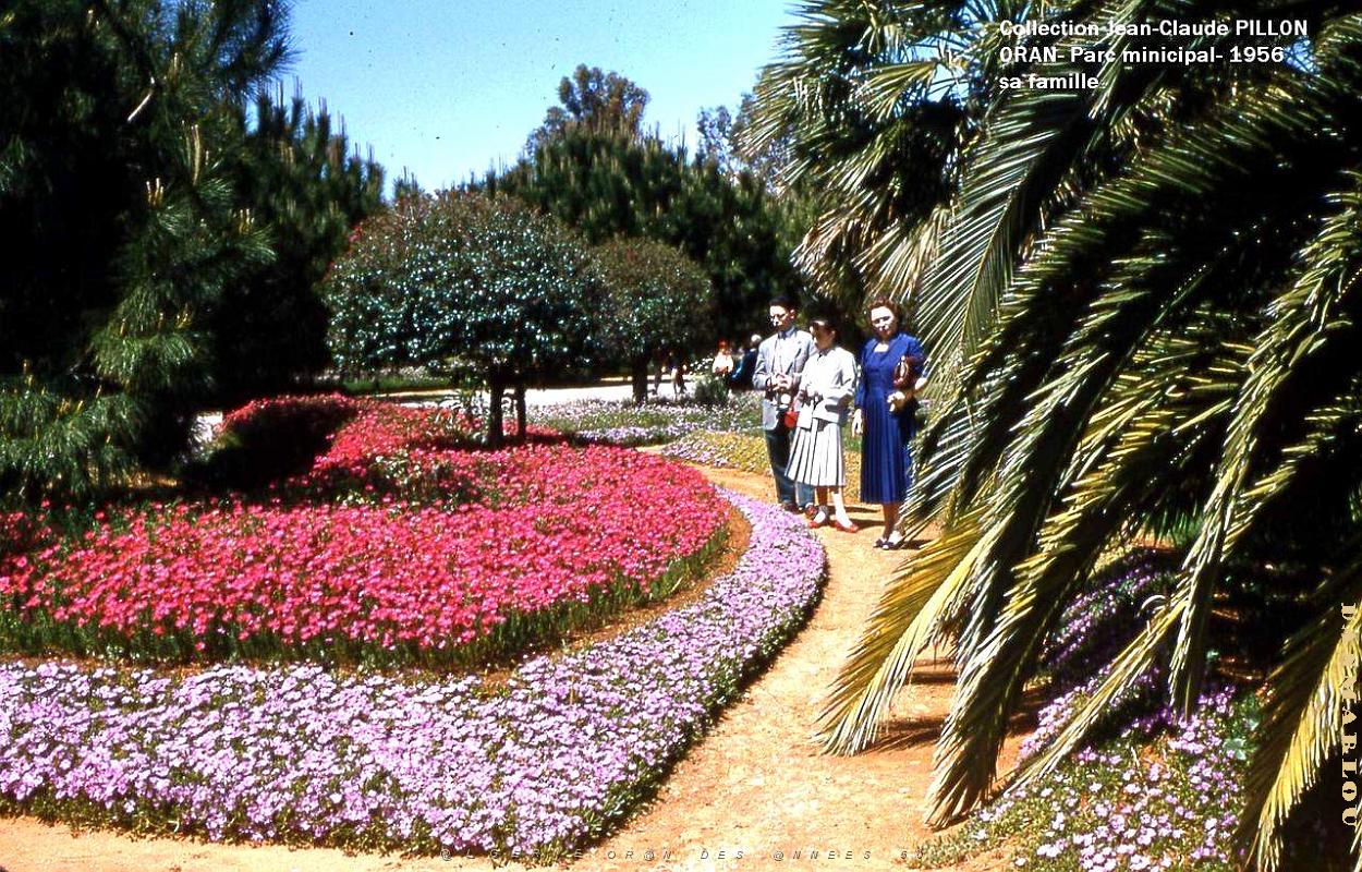 Oran - Avenue de Valmy - Parc Municipal - 1956.jpg